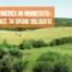 wineries in minnesota