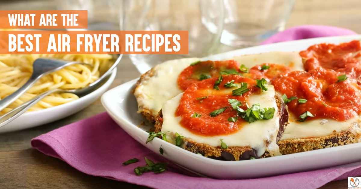 What Are The Best Air Fryer Recipes: Healthy And Tasty!