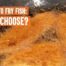 best oil to fry fish