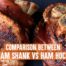 ham shank vs ham hock