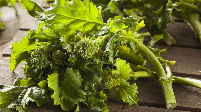 What is Rapini Mastering Cooking Tips and Health Benefits (1)