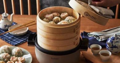 How To Use A Dumpling Steamer 5 Best Options To Choose!