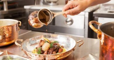 In-Depth Product Review Of Soy Copper Pans