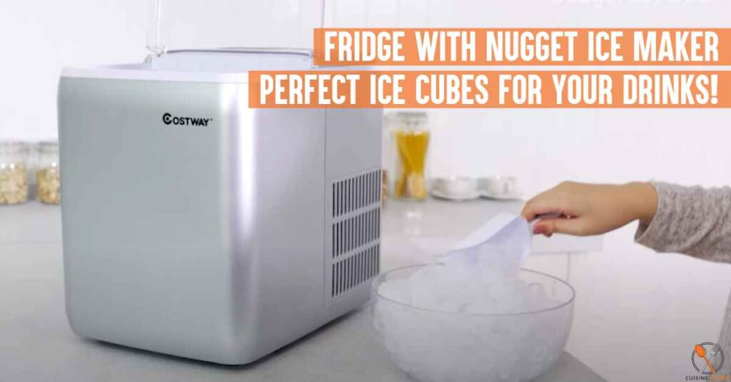 Fridge With Nugget Ice Maker Perfect Ice Cubes For Your Drinks! CuisineGizmo
