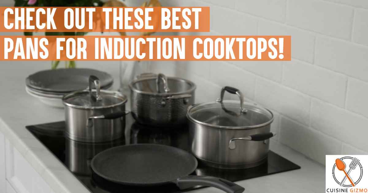 Check Out These Best Pans For Induction Cooktops! - CuisineGizmo