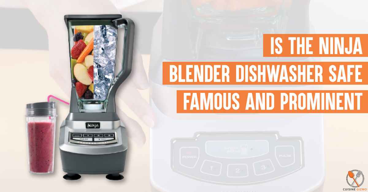 Is The Ninja Blender Dishwasher Safe: Famous And Prominent