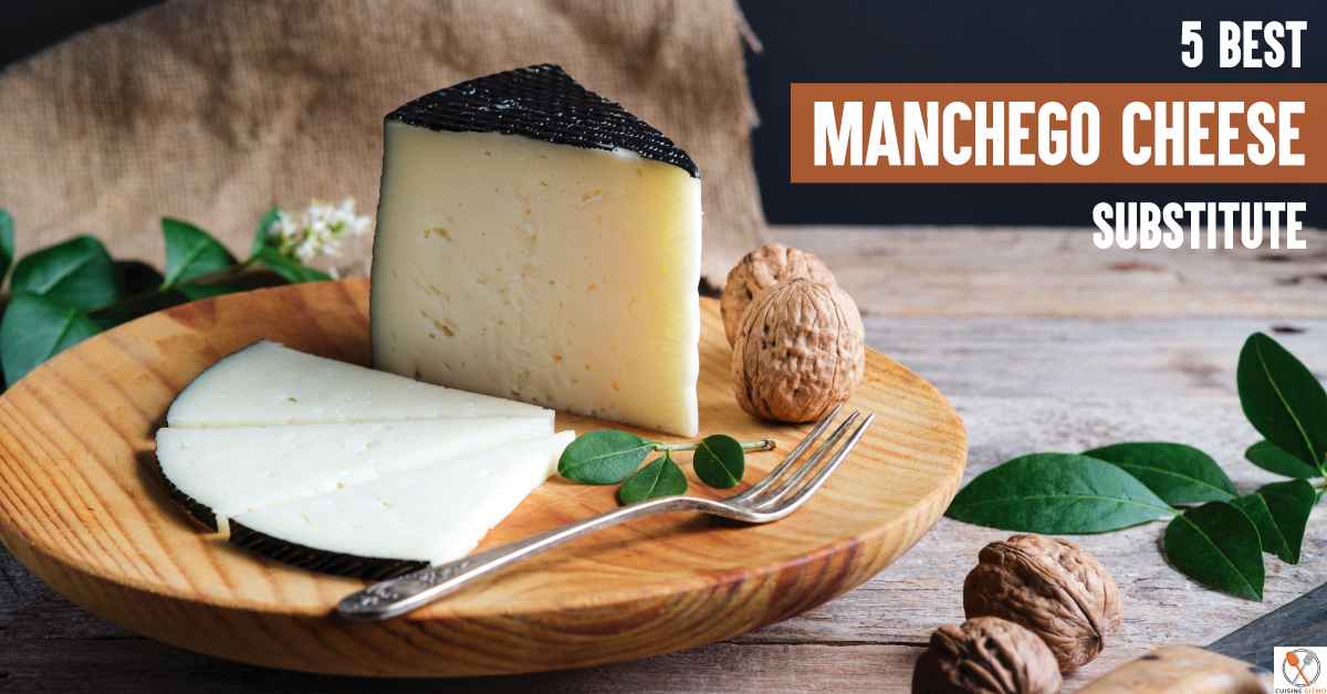5 Best Manchego Cheese Substitutes CuisineGizmo