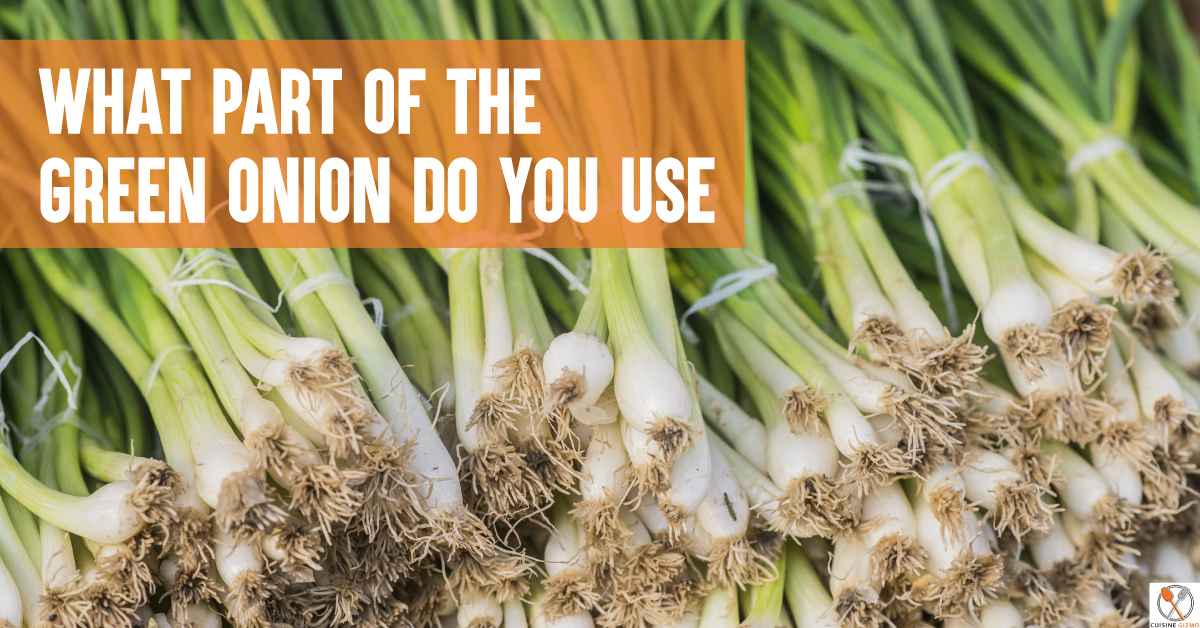 what-part-of-the-green-onion-do-you-use-and-how-to-cut-green-onions