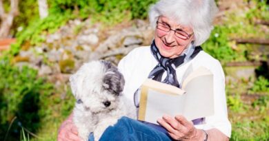 10 Best Dogs for Seniors Companionship and Comfort