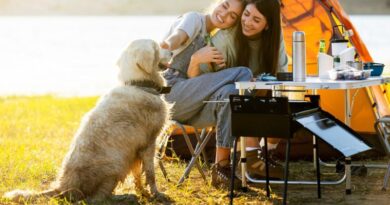 10 Tips For A Memorable Dog-Friendly Camping Adventure