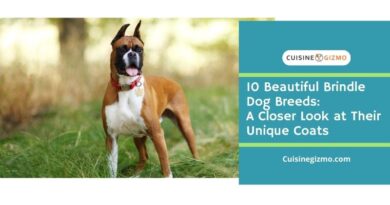 10 Beautiful Brindle Dog Breeds: A Closer Look at Their Unique Coats