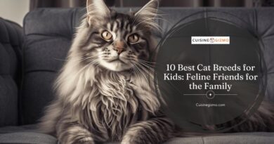 10 Best Cat Breeds for Kids: Feline Friends for the Family