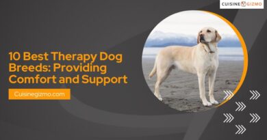 10 Best Therapy Dog Breeds: Providing Comfort and Support