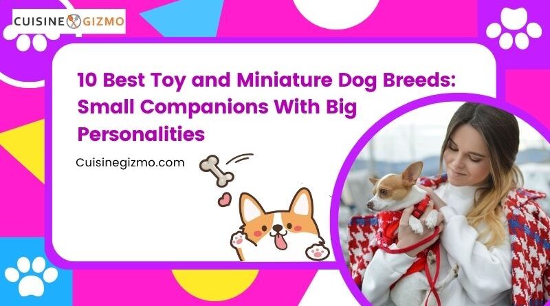 10 Best Toy and Miniature Dog Breeds: Small Companions with Big Personalities