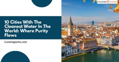 10 Cities With The Cleanest Water In The World: Where Purity Flows