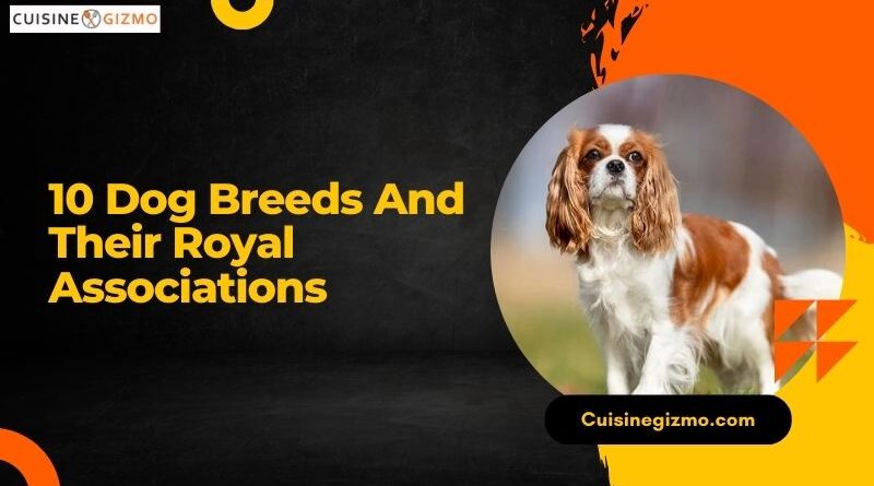 10 Dog Breeds and Their Royal Associations