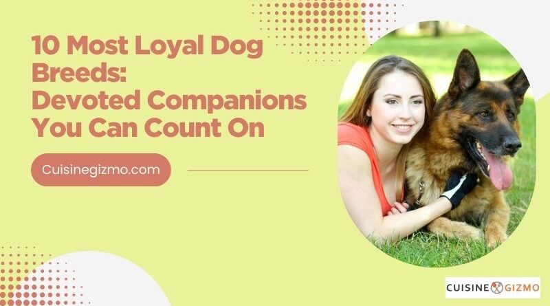 10 Most Loyal Dog Breeds: Devoted Companions You Can Count On