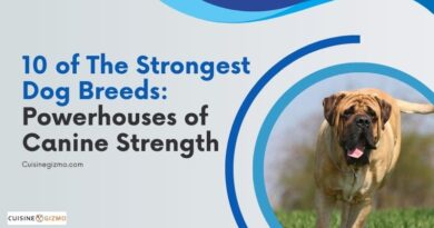 10 of the Strongest Dog Breeds: Powerhouses of Canine Strength