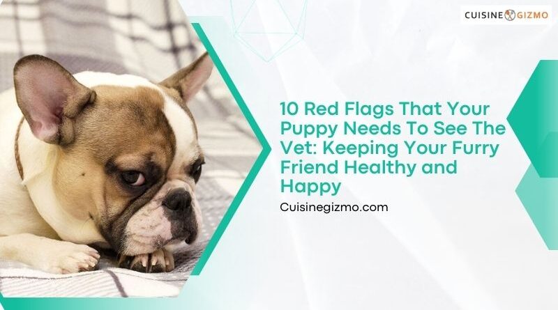 10 Red Flags That Your Puppy Needs to See the Vet: Keeping Your Furry Friend Healthy and Happy