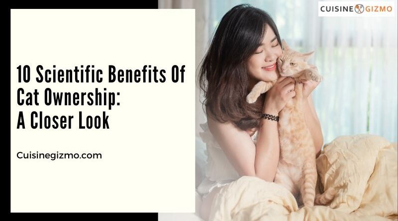 10 Scientific Benefits of Cat Ownership: A Closer Look