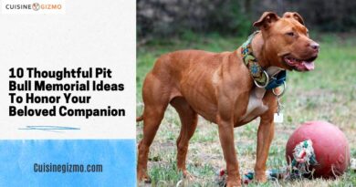 10 Thoughtful Pit Bull Memorial Ideas To Honor Your Beloved Companion