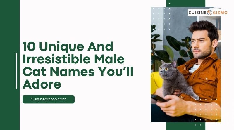 10 Unique and Irresistible Male Cat Names You’ll Adore