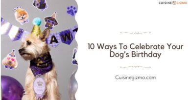 10 Ways to Celebrate Your Dog’s Birthday