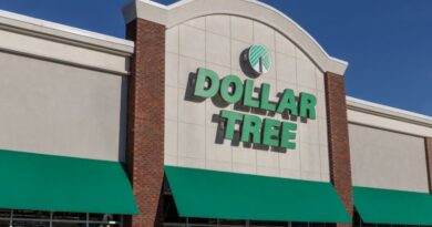 12 High-Quality Items To Buy in May Dollar Tree Delights