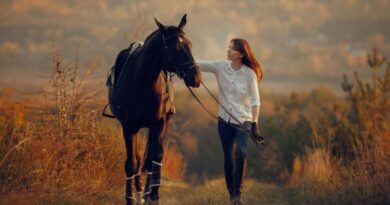 5 Ways To Strengthen The Bond Between You And Your Horse