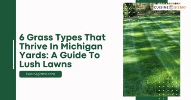 6 Grass Types That Thrive in Michigan Yards: A Guide to Lush Lawns