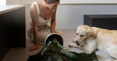 7 Common Houseplants That Are Toxic to Dogs and Cats Ensuring Pet Safety