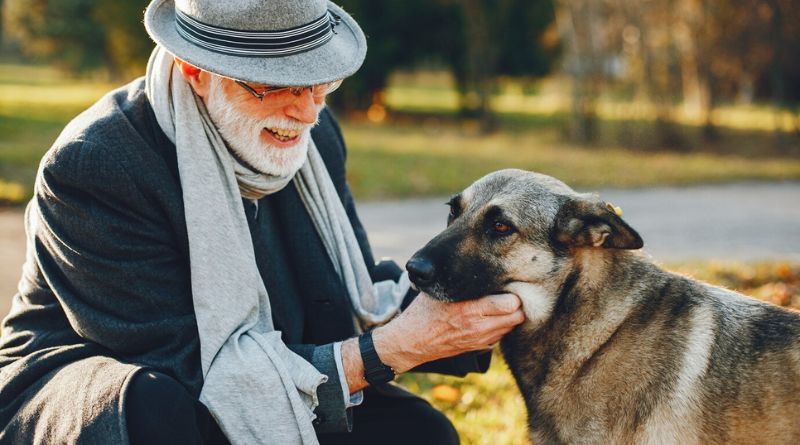 7 Worst Dog Breeds for Seniors Dogs You Must Avoid
