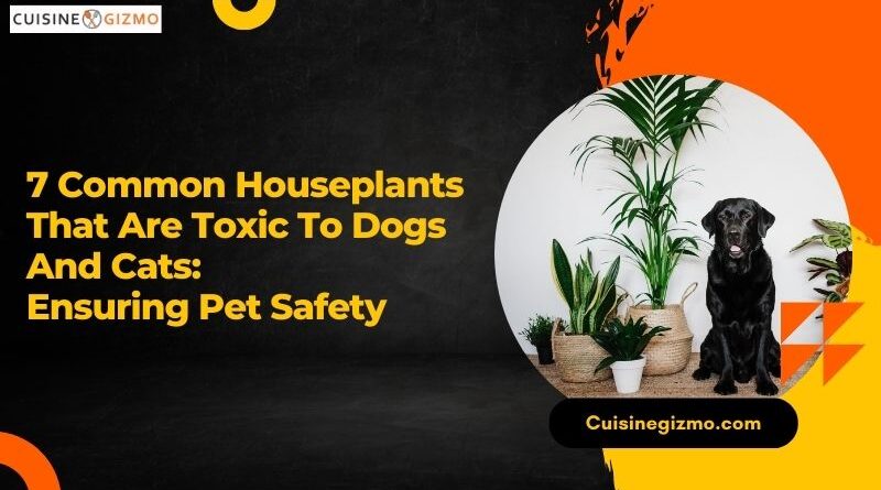 7 Common Houseplants That Are Toxic to Dogs and Cats: Ensuring Pet Safety