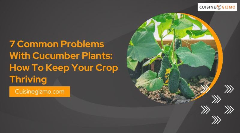 7 Common Problems with Cucumber Plants: How to Keep Your Crop Thriving