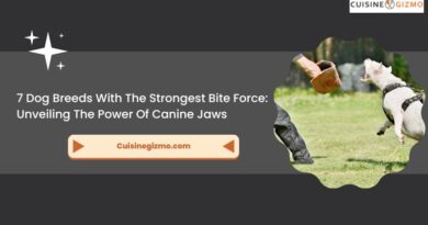 7 Dog Breeds with the Strongest Bite Force: Unveiling the Power of Canine Jaws