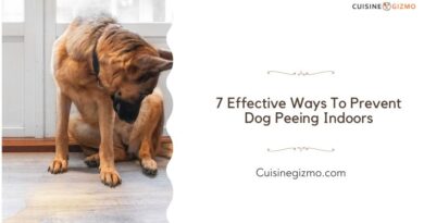 7 Effective Ways to Prevent Dog Peeing Indoors