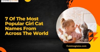 7 of the Most Popular Girl Cat Names from Across the World