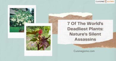 7 of the World’s Deadliest Plants: Nature’s Silent Assassins