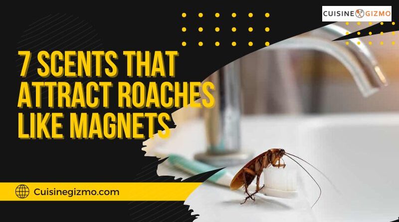7 Scents that Attract Roaches Like Magnets