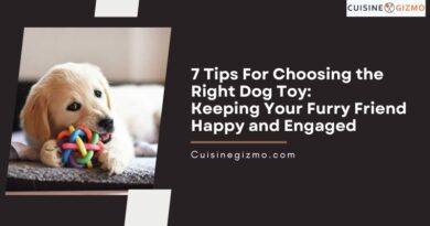 7 Tips for Choosing the Right Dog Toy: Keeping Your Furry Friend Happy and Engaged