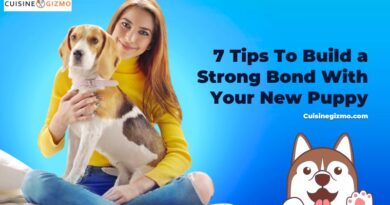 7 Tips To Build a Strong Bond With Your New Puppy