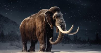8 Giant North American Ice Age Animals Fascinating Giants of the Prehistoric Era