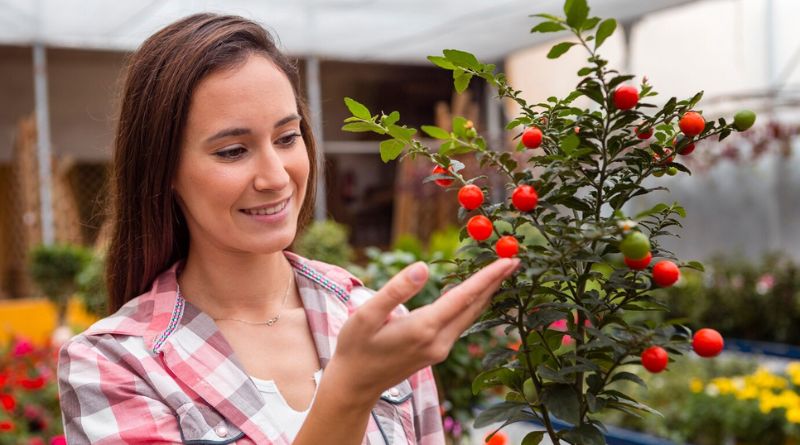 8 Of The Best Fruit Trees For Small Gardens
