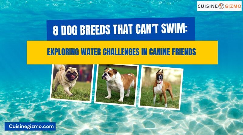 8 Dog Breeds That Can’t Swim: Exploring Water Challenges in Canine Friends