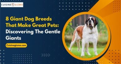 8 Giant Dog Breeds That Make Great Pets: Discovering the Gentle Giants