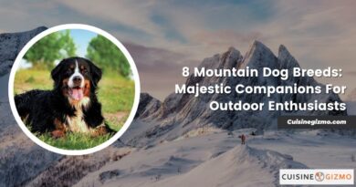 8 Mountain Dog Breeds: Majestic Companions for Outdoor Enthusiasts