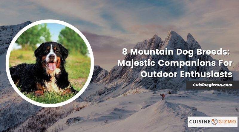 8 Mountain Dog Breeds: Majestic Companions for Outdoor Enthusiasts