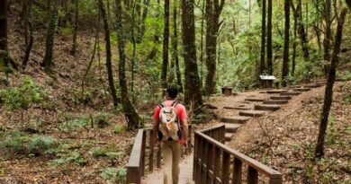 8 of the Best Recreational Trails in the US