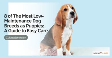 8 of the Most Low-Maintenance Dog Breeds as Puppies: A Guide to Easy Care