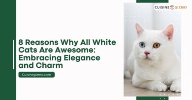 8 Reasons Why All White Cats Are Awesome: Embracing Elegance and Charm